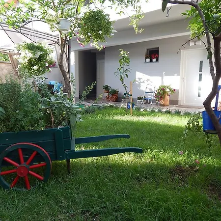 Coco