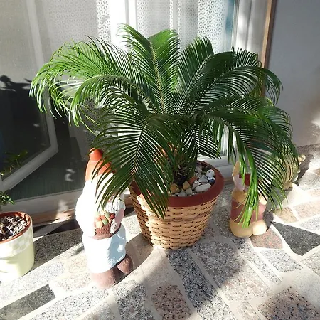 Coco Appartement Zadar